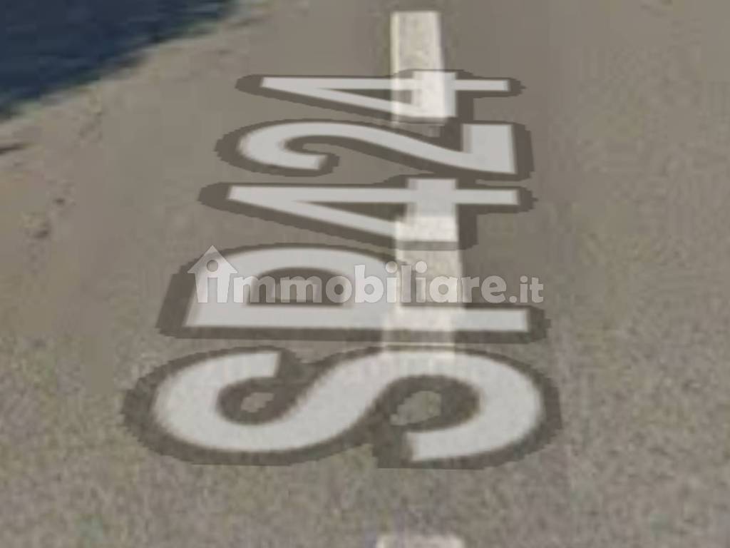 Zona