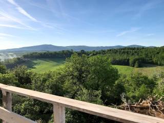 Vista