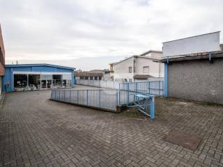 Vista