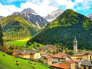 Vista