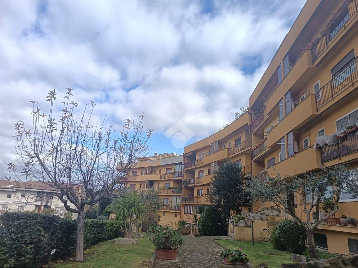 Appartamento in vendita a Marino