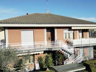 Zona