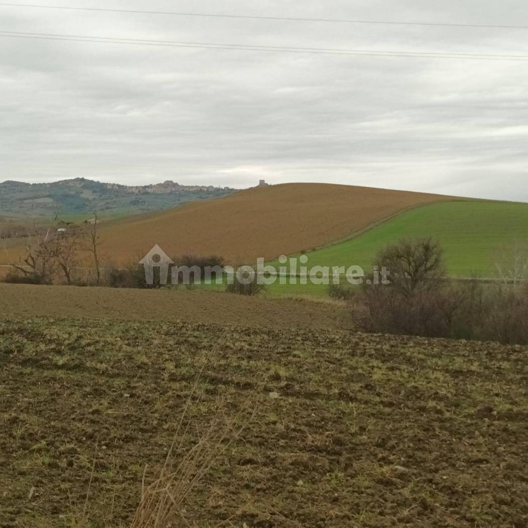 Appartamento in vendita a Castiglione d'Orcia