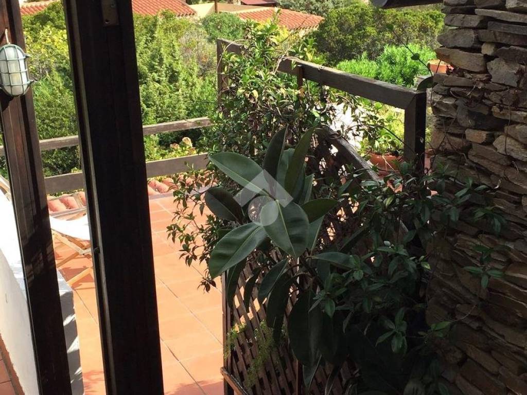 Vista