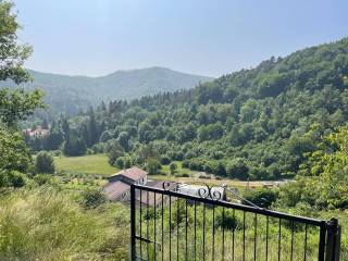Vista