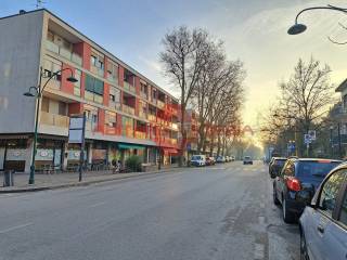 Zona