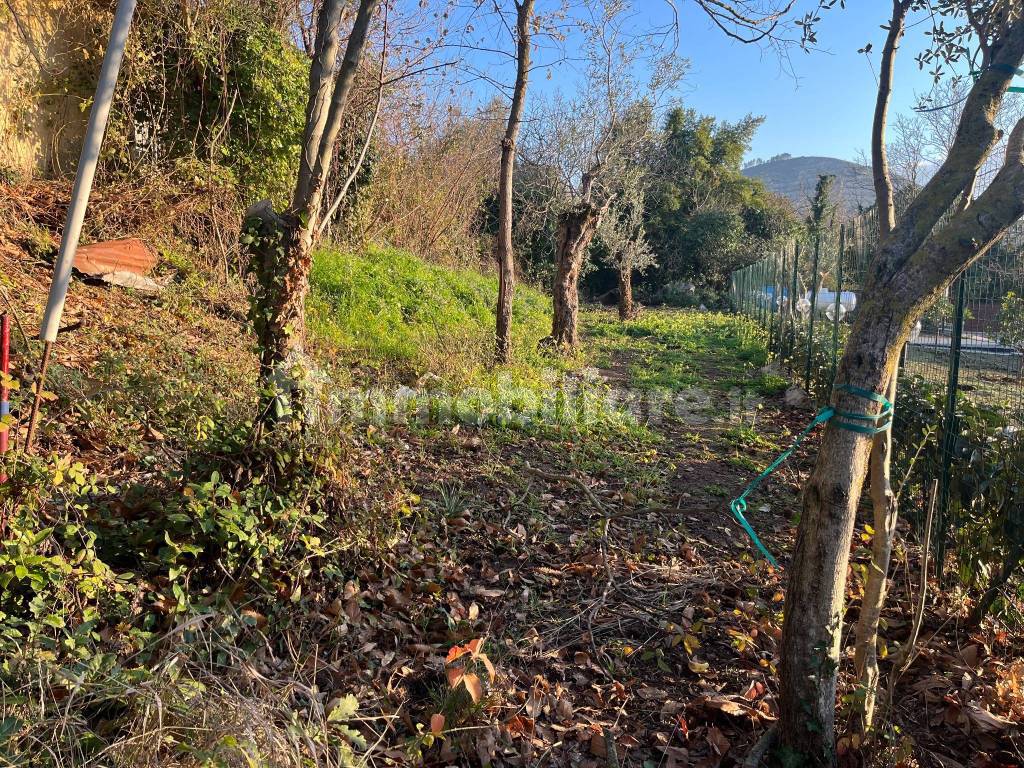 Terreno