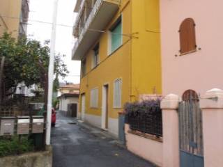 Zona