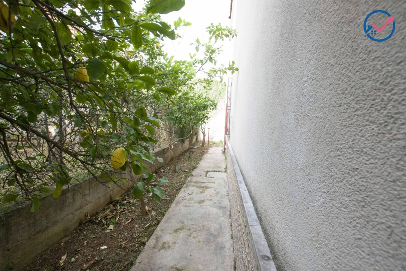 Palazzo - Edificio - foto 4