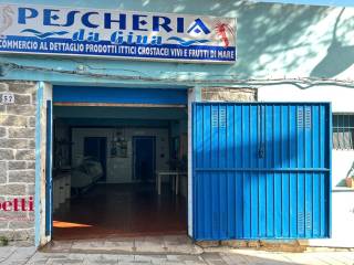 Ingresso