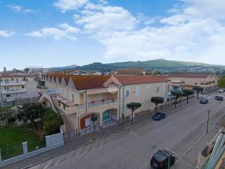 Vista