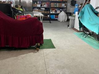 Cantina