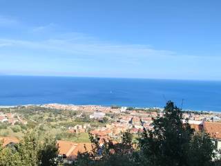 Vista