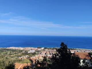 Vista