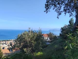 Vista