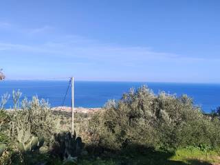Vista
