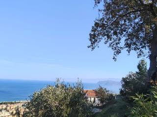 Vista