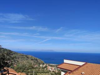 Vista