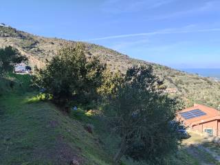 Vista