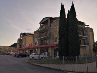 Zona