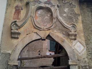 Zona