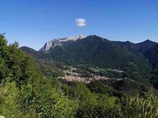 Vista