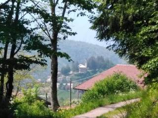 Zona