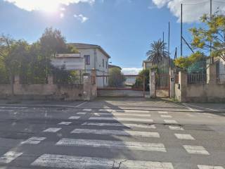 Zona