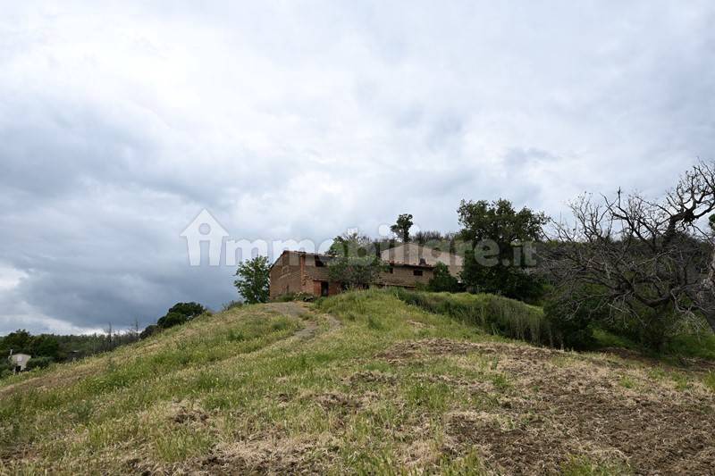 Rustico - Casale in vendita a Cinigiano
