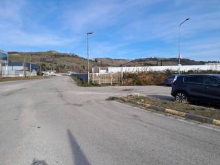 Zona