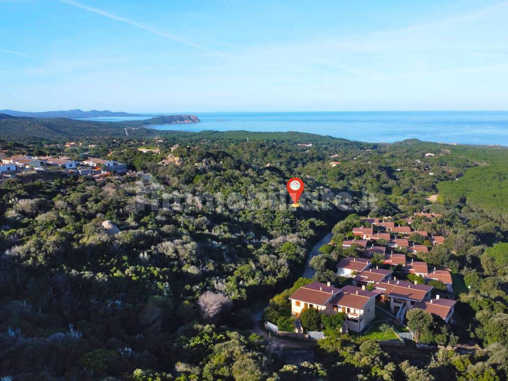 Vista
