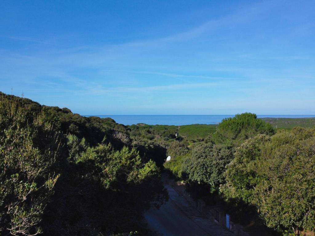 Vista