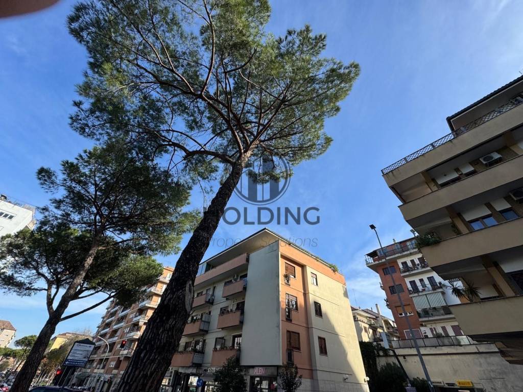 Vendita Appartamento In Via Attilio Ambrosini Roma Da Ristrutturare vendita-appartamento-in-via-attilio-ambrosini-roma-da-ristrutturare