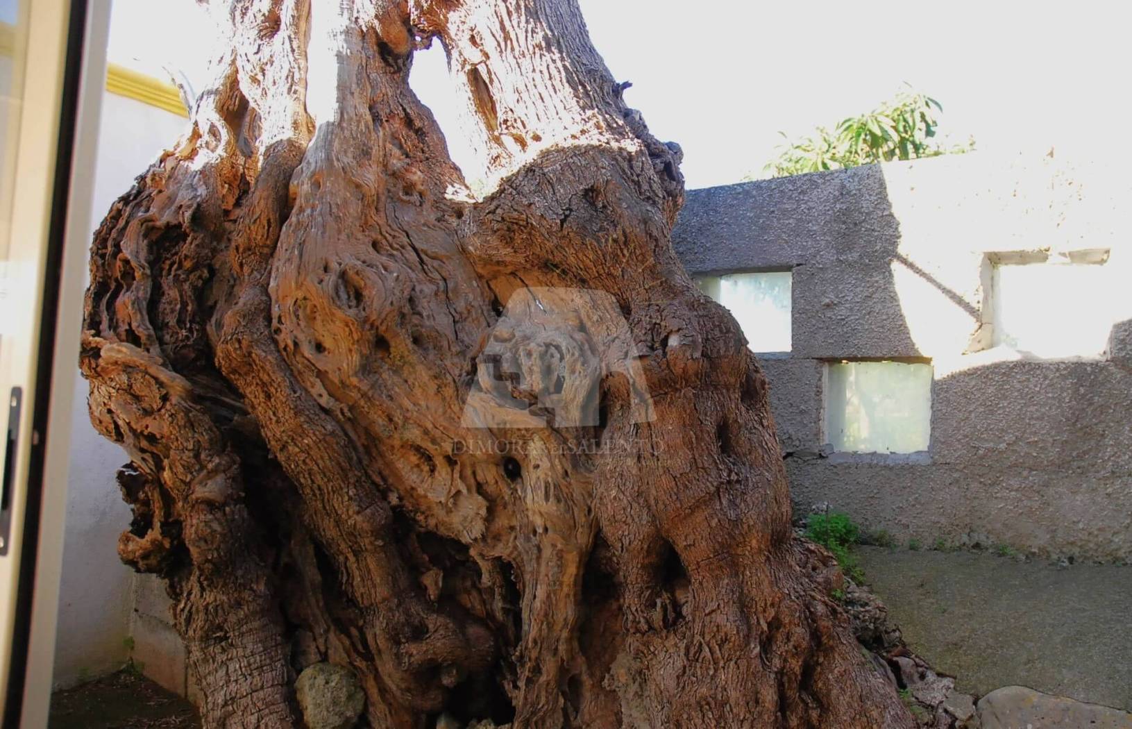 Appartamento in vendita a Salve