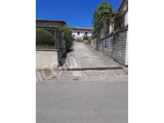 Zona