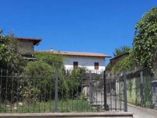 Zona
