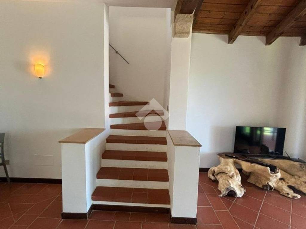 Salone