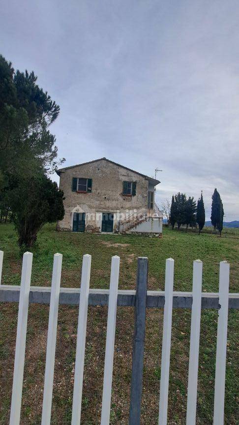 Rustico - Casale in vendita a Campagnatico