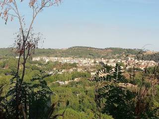 Vista