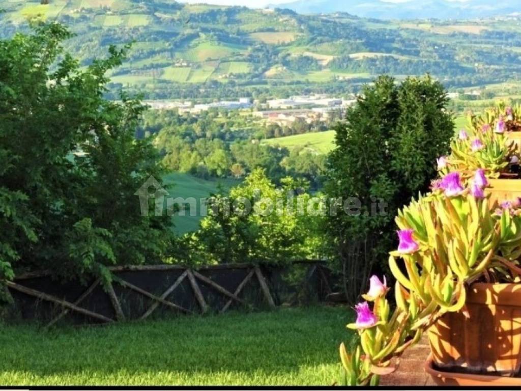 Vista