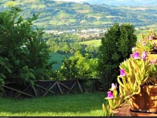 Vista