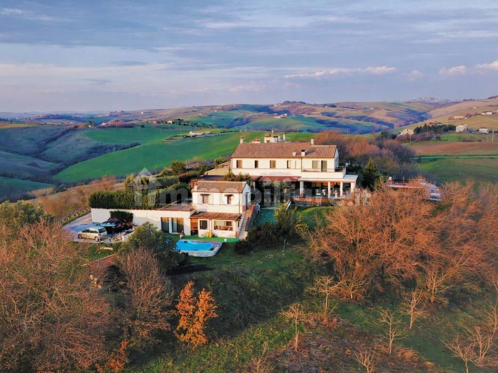 Vista
