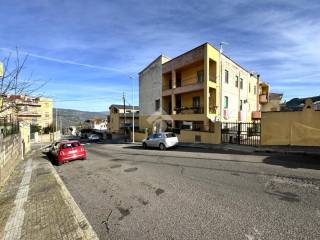 Zona