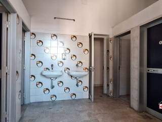 Ingresso