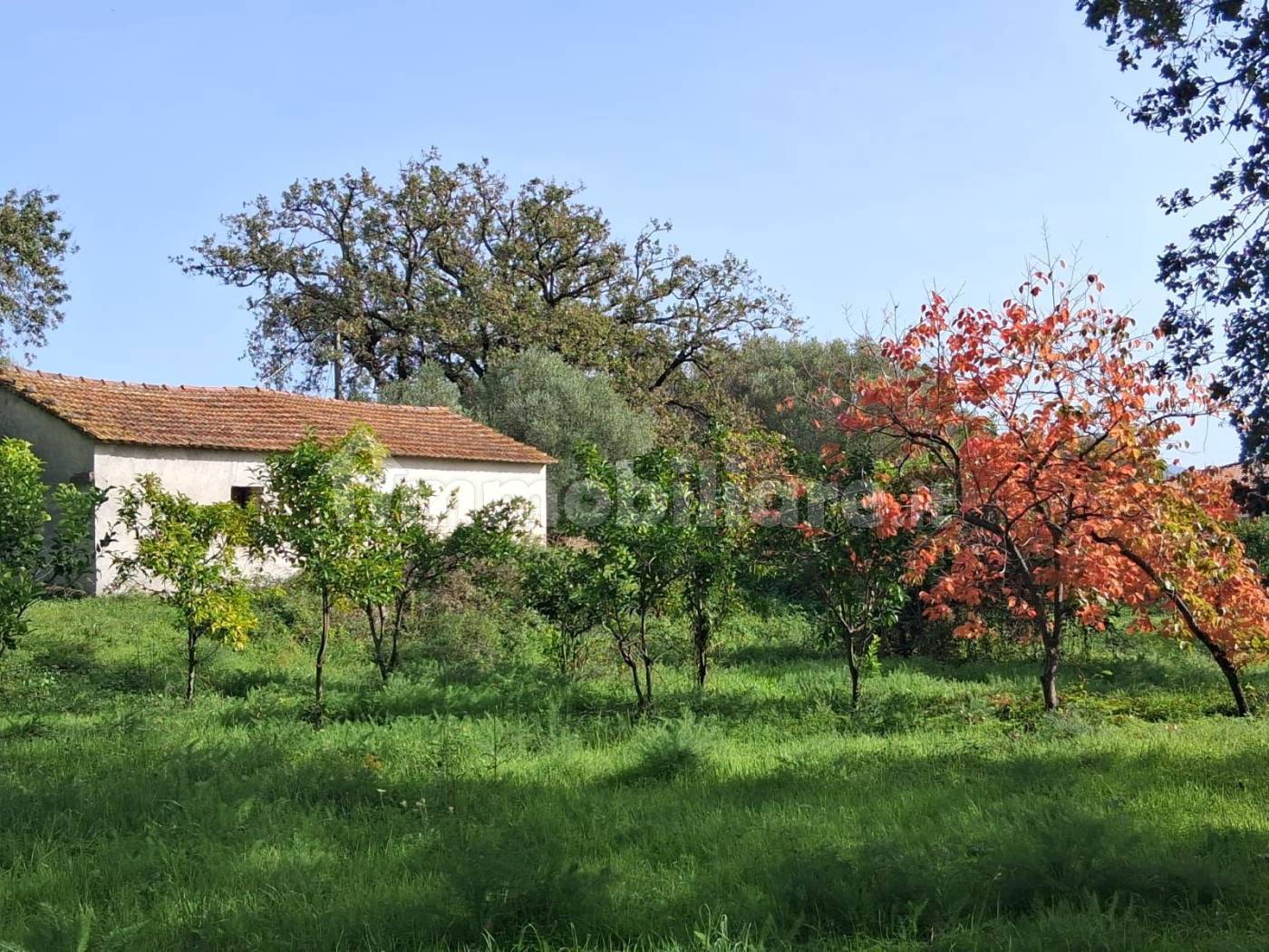 Villa in vendita a Santa Marina