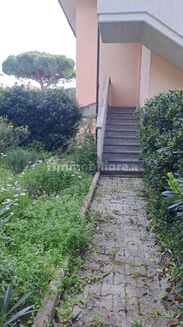 Appartamento in affitto a Rosignano Marittimo