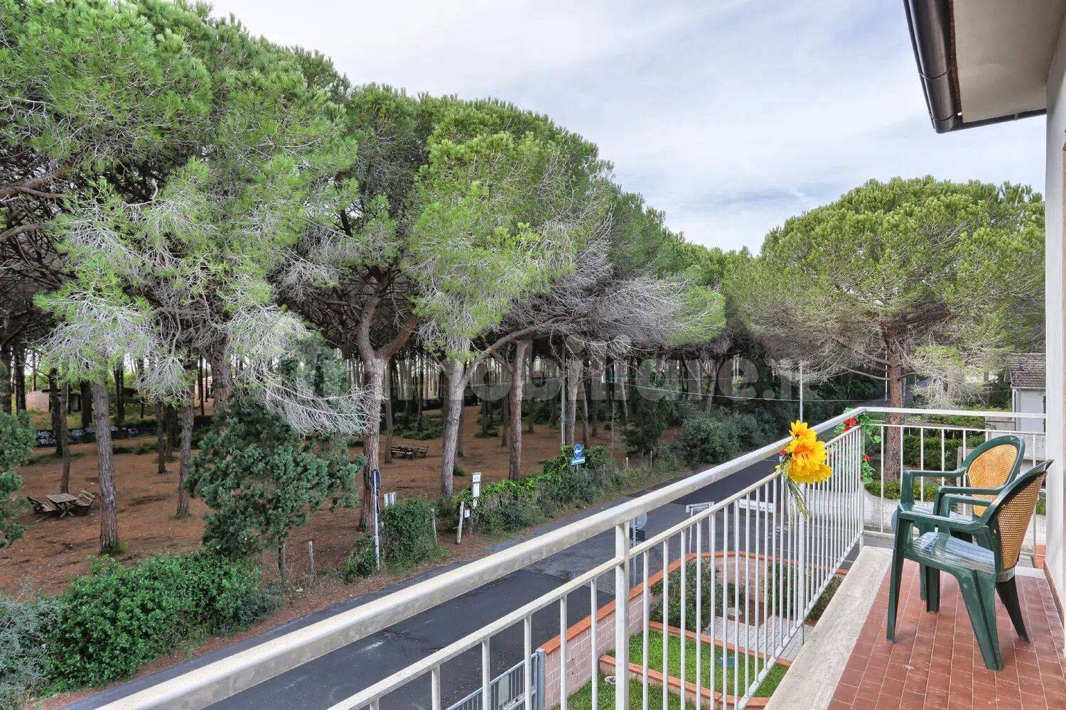 Appartamento in affitto a Rosignano Marittimo