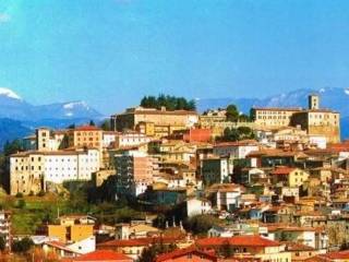 Zona