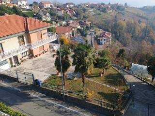 Vista
