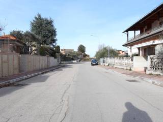 Zona
